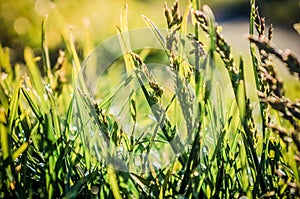 ÃÂ¢Ãâ¬ÃÂ°ÃÂ²ÃÂ°